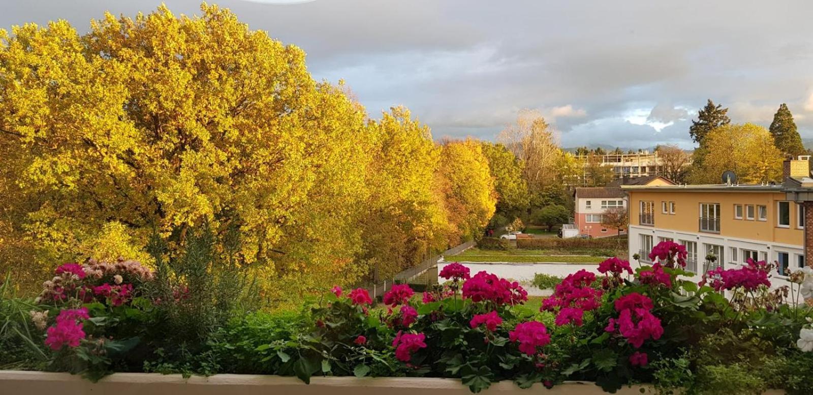 Mariaprimavera Apartment Am Kurpark Mit Schwarzwaldblick * * * * バート・クロツィンゲン エクステリア 写真