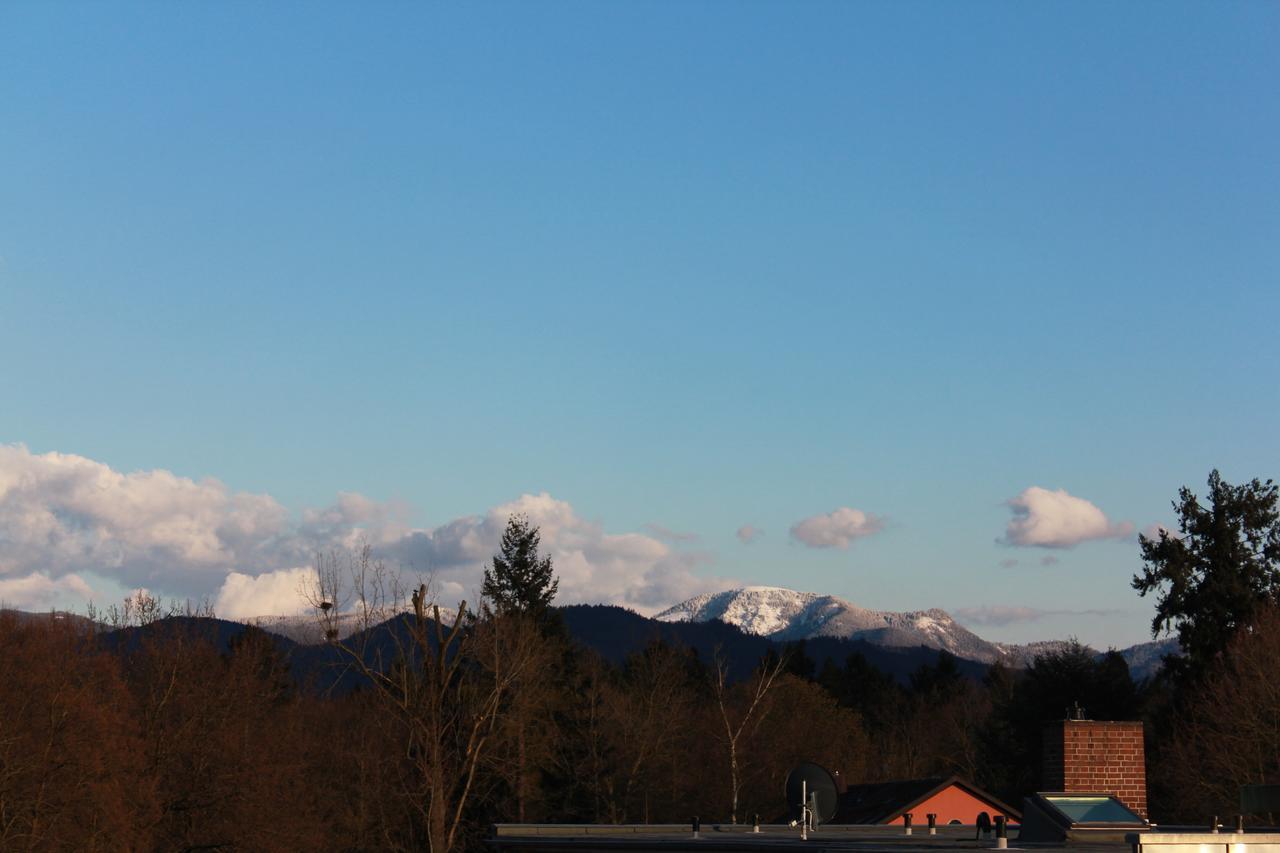 Mariaprimavera Apartment Am Kurpark Mit Schwarzwaldblick * * * * バート・クロツィンゲン エクステリア 写真